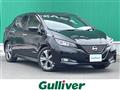 2022 Nissan Leaf