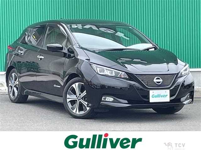 2022 Nissan Leaf