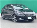 2022 Nissan Leaf