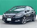 2022 Nissan Leaf