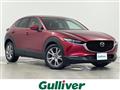 2019 Mazda CX-3