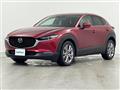 2019 Mazda CX-3