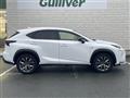 2015 Lexus NX