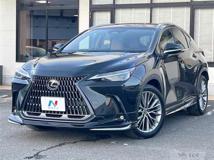 2023 Lexus NX
