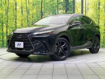 2024 Lexus NX