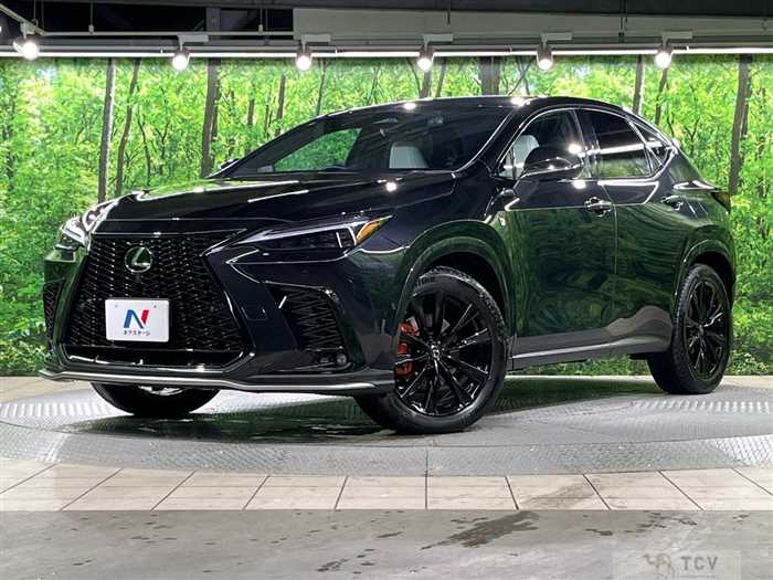 2024 Lexus NX