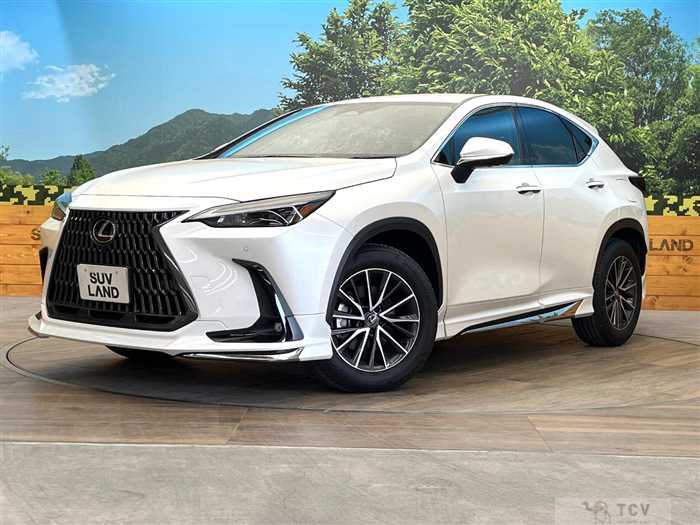 2025 Lexus NX