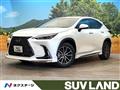 2025 Lexus NX