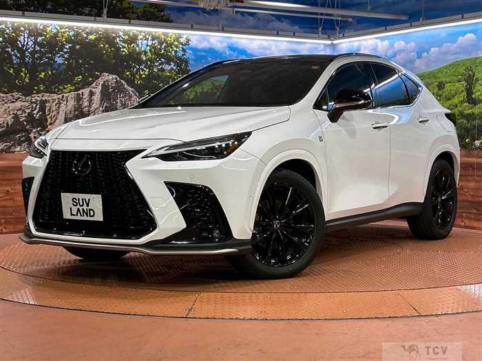 2023 Lexus NX