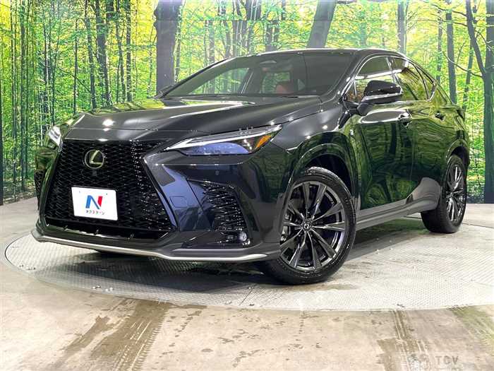 2024 Lexus NX