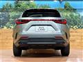 2025 Lexus NX