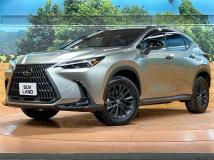2025 Lexus NX