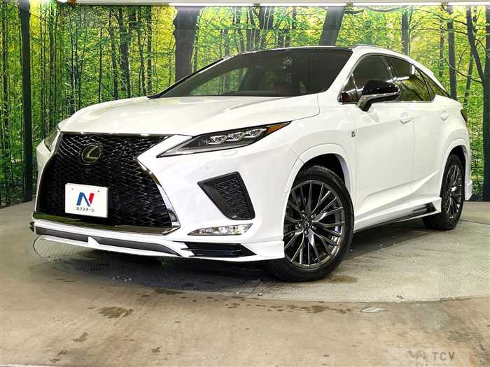 2019 Lexus RX