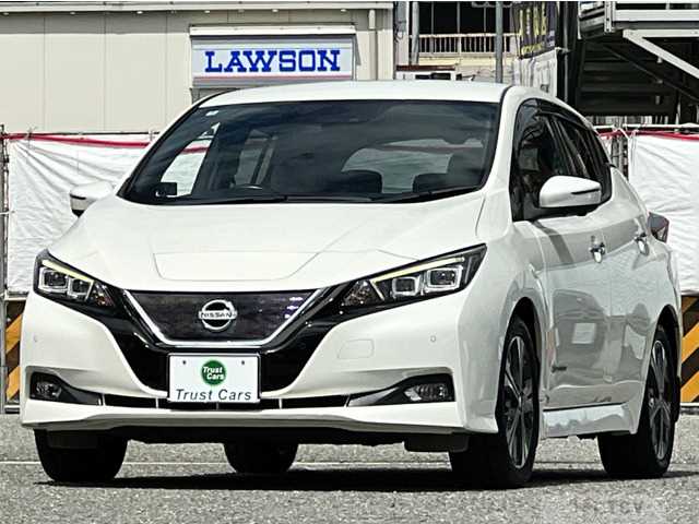 2020 Nissan Nissan Others