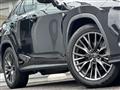 2020 Lexus RX