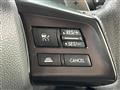 2013 Subaru Subaru Others