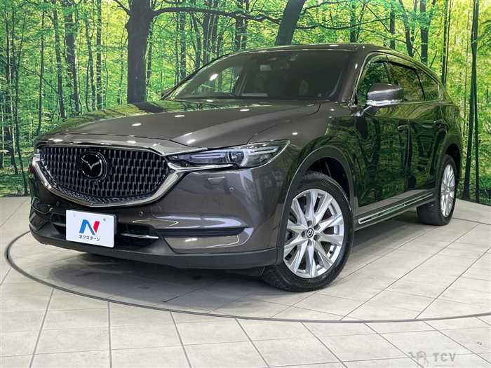 2018 Mazda CX-8
