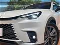 2024 Lexus Other