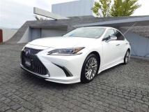 2019 Lexus ES