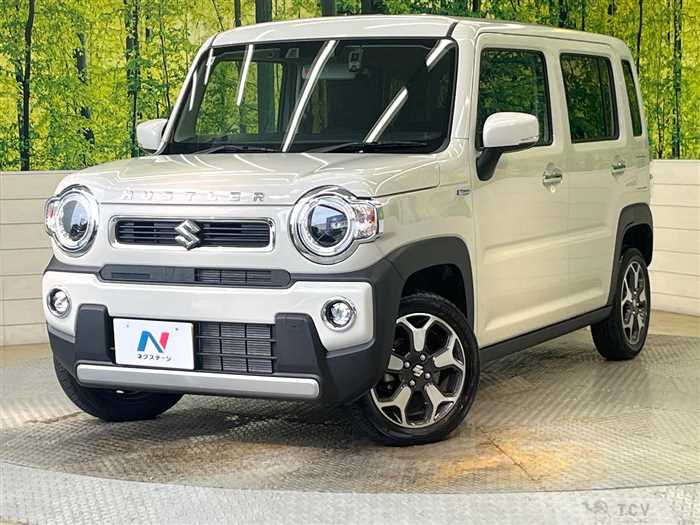 2025 Suzuki Hustler