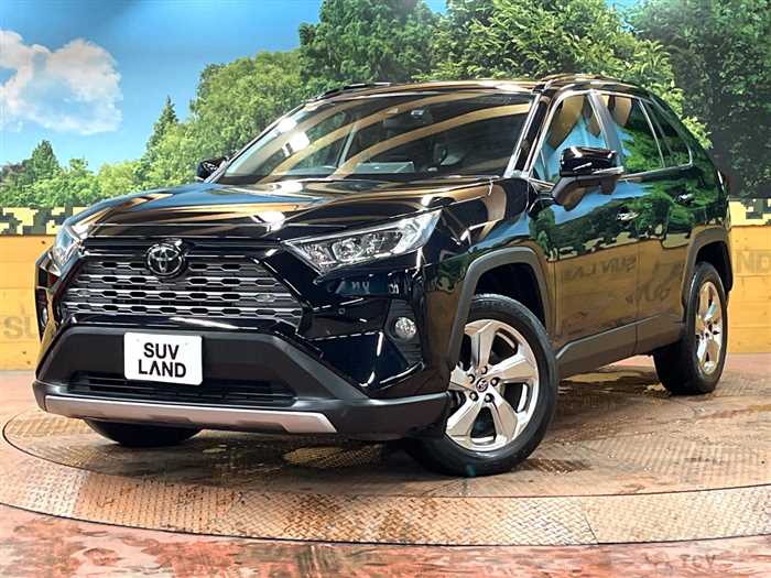 2019 Toyota RAV4