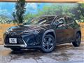 2021 Lexus Other