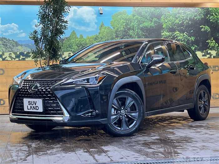 2021 Lexus Other