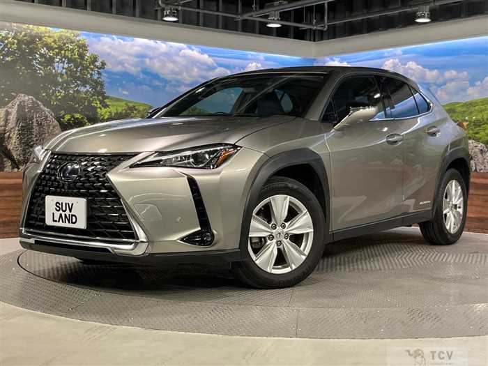 2019 Lexus Other