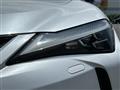 2019 Lexus UX