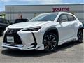2019 Lexus UX