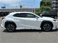 2019 Lexus UX