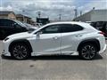2019 Lexus UX