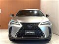 2019 Lexus UX
