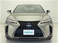 2019 Lexus UX