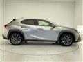 2019 Lexus UX