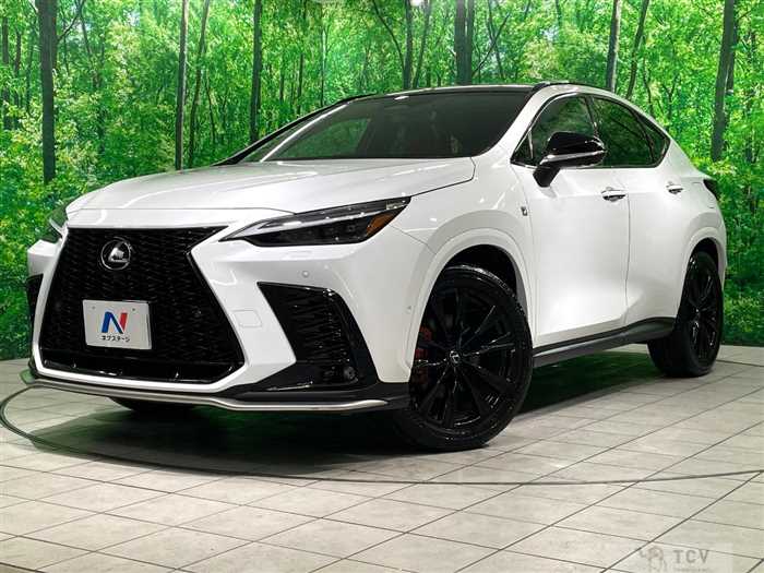 2024 Lexus NX