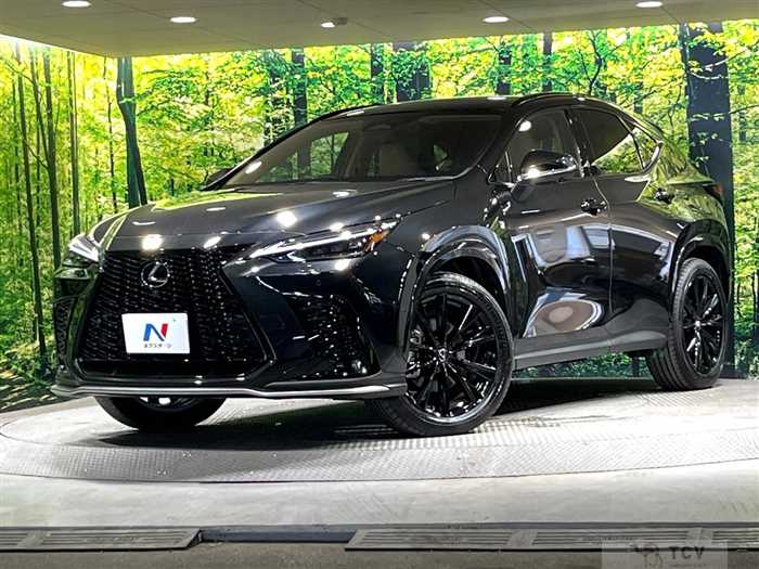 2025 Lexus NX