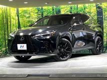 2025 Lexus NX