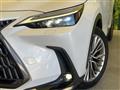 2023 Lexus NX