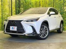 2023 Lexus NX
