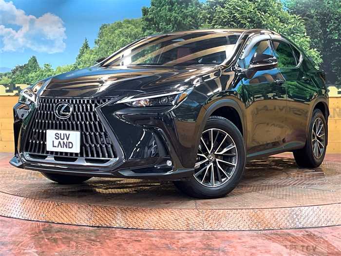 2023 Lexus NX