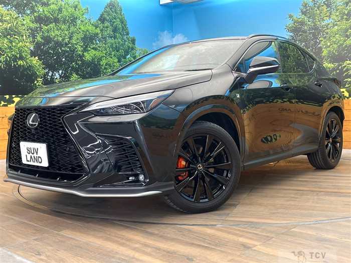 2023 Lexus NX