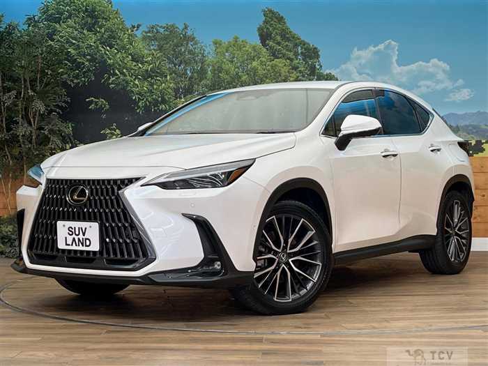 2023 Lexus NX