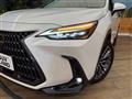 2023 Lexus NX