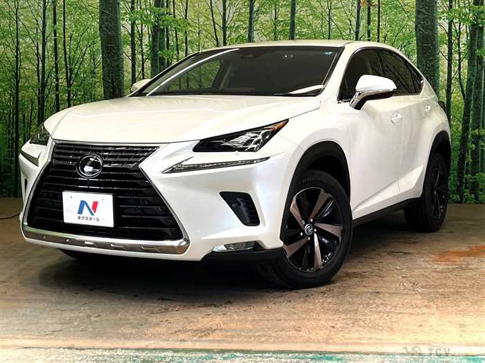 2019 Lexus NX