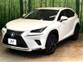 2019 Lexus NX