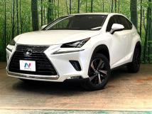 2019 Lexus NX