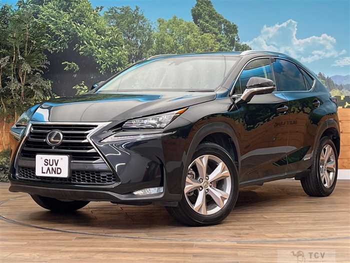 2015 Lexus NX