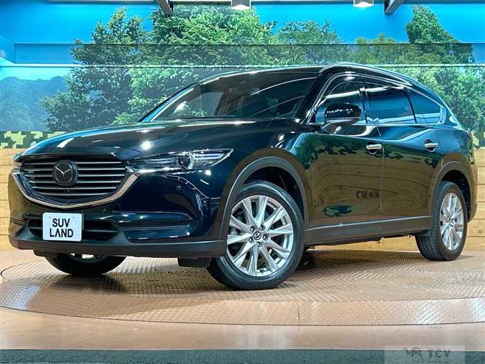 2018 Mazda CX-8