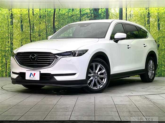 2019 Mazda CX-8